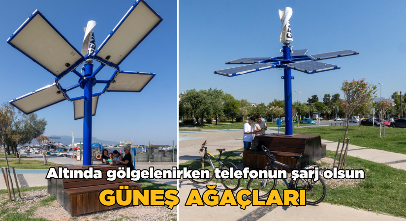 Altında gölgelenirken cihazını şarj et!  Güneş ağaçları