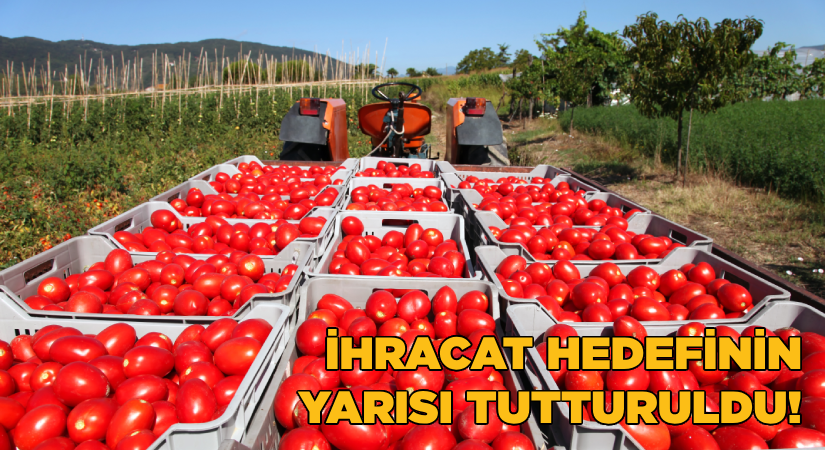 İhracatın 2024 yılı hedefinin yarısı tutturuldu