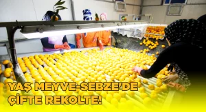 Ege Yaş Meyve Sebze İhracatçıları Birliği’nden çifte rekolte