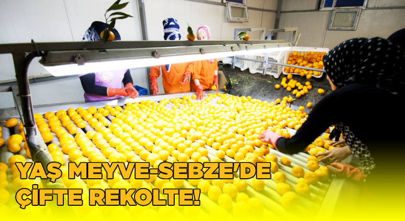 Ege Yaş Meyve Sebze İhracatçıları Birliği’nden çifte rekolte