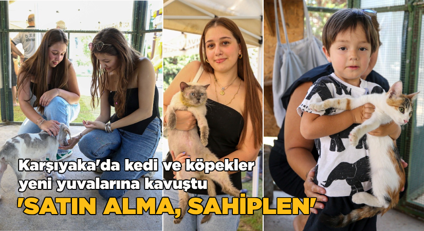 Karşıyaka’da kedi ve köpekler yeni yuvalarına kavuştu-‘Satın alma sahiplen’