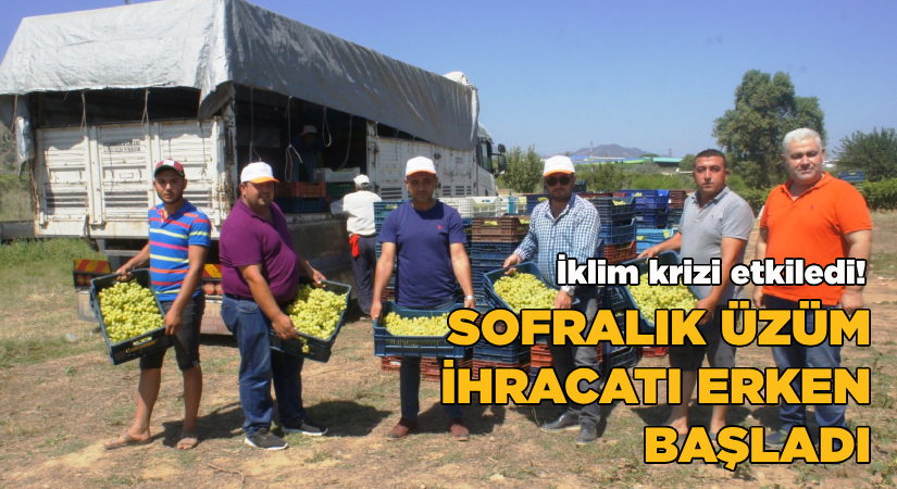 Sofralık üzümün ihracat yolculuğu 11 Temmuz’da başladı