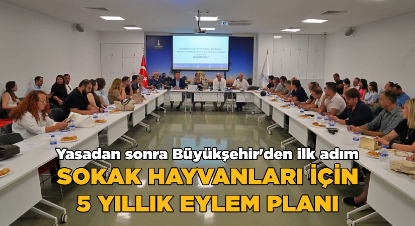 Sokak hayvanları için 5 yıllık eylem planı