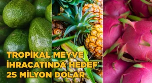 Tropikal meyve ihracatında hedef 25 milyon dolar