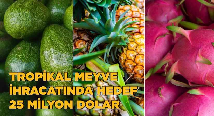 Tropikal meyve ihracatında hedef 25 milyon dolar