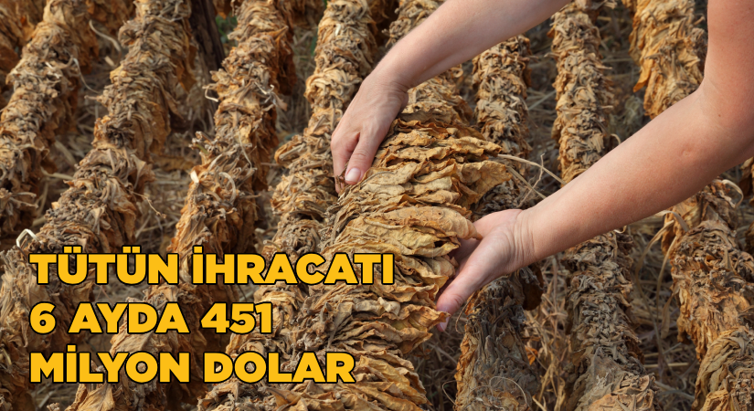 Tütün sektörü 6 ayda 451 milyon dolar ihracat gerçekleştirdi