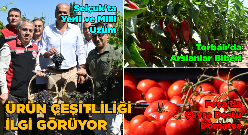İzmirli üreticiler alternatif ürüne yöneldi
