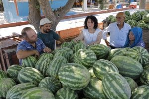 Tarlada kalan karpuz-kavun halka ücretsiz dağıtıldı