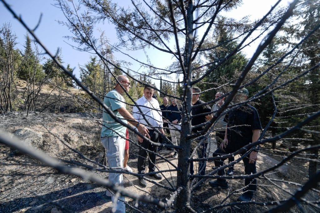 Yangından etkilenen 15 bin ağaca tedavi