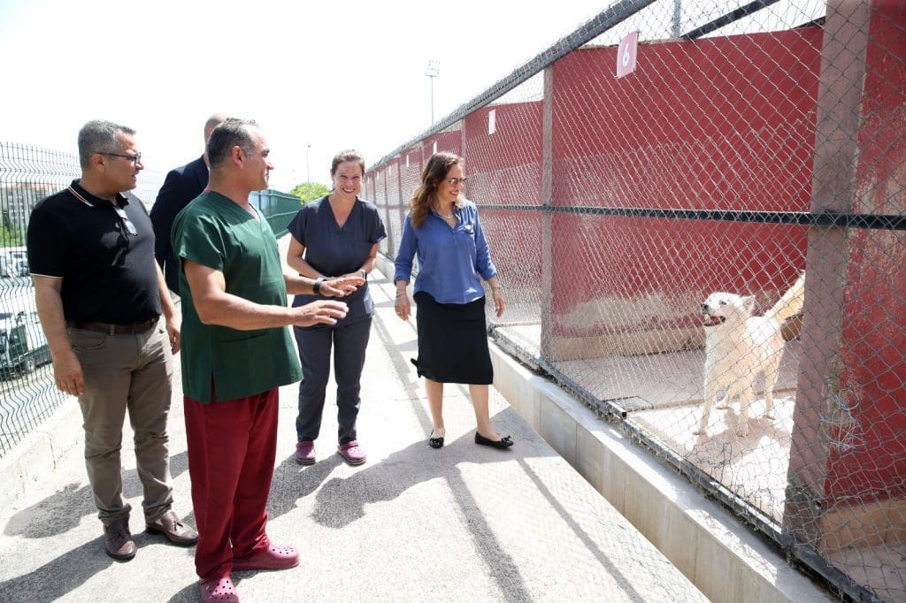 Karşıyaka, Türkiye’ye örnek bir hayvan kompleksine kavuşacak!