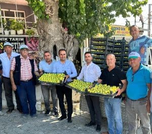 Torbalı-Çapak Bardacık İnciri ABD’ye gidecek