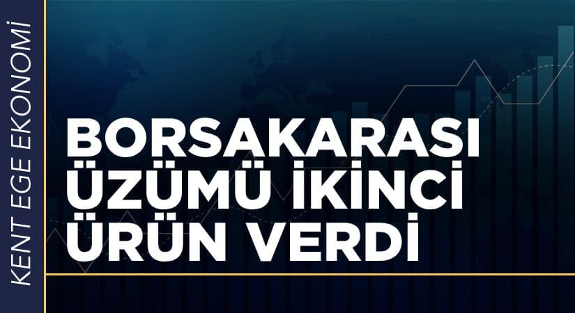 “Borsakarası” üzümü ikinci ürününü verdi