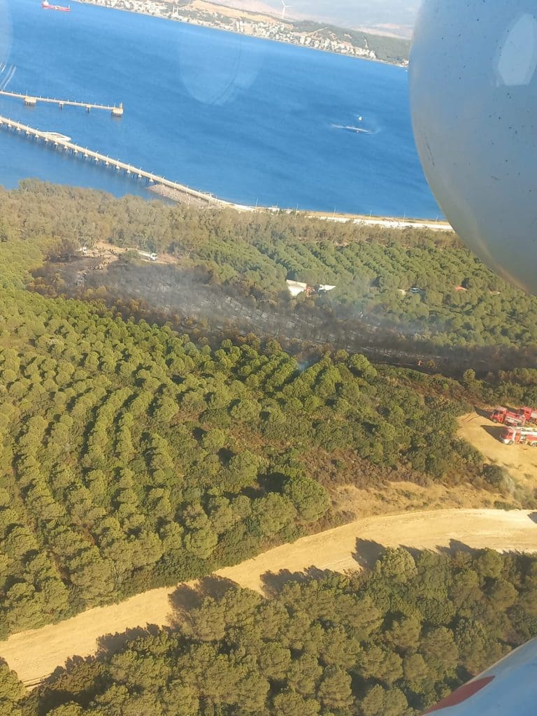 Son dakika.. Aliağa’da orman yangını