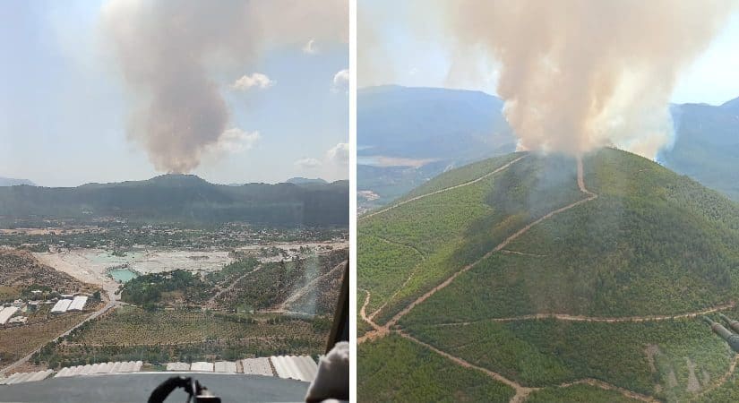 Menderes’te yine orman yangını