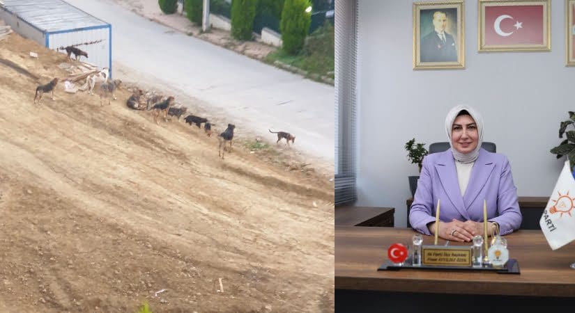 AK Partili Özen’den Denizli’ye:Hayvan sevgisi, makam koltuğuna köpek oturtmak değildir