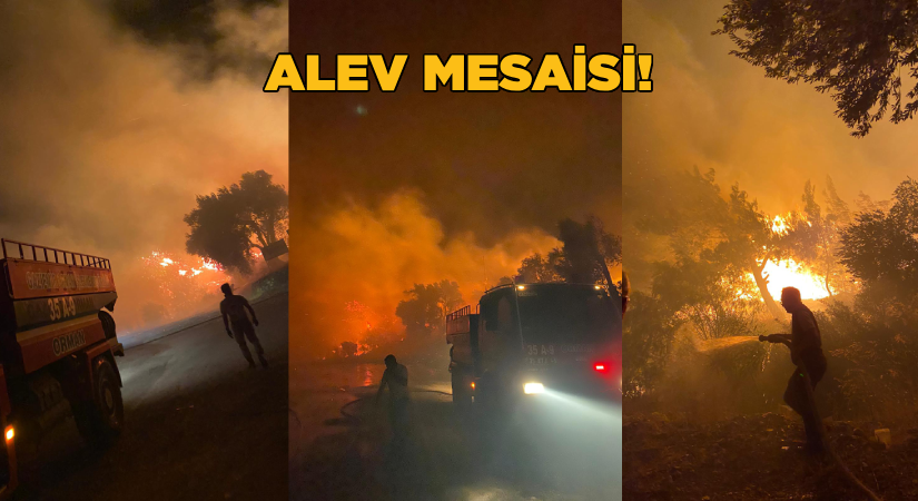 Yangınlarla mücadele sürüyor