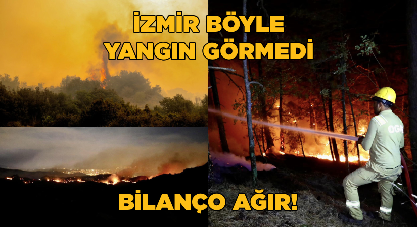 Yangının İzmir’e bilançosu çok ağır!