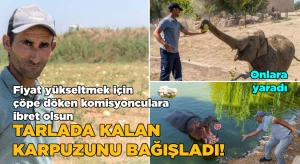 Fiyat yükseltmek için çöpe döken komisyonculara ibret olsun