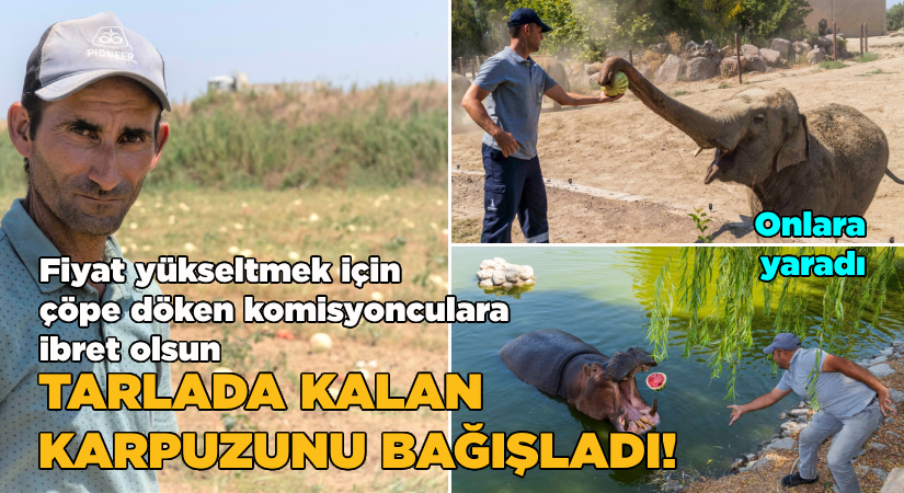 Fiyat yükseltmek için çöpe döken komisyonculara ibret olsun