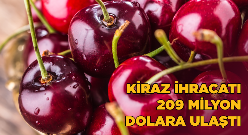 Kiraz ihracatı 209 milyon dolara ulaştı