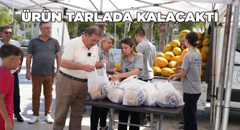 10 ton kavun ücretsiz dağıtıldı