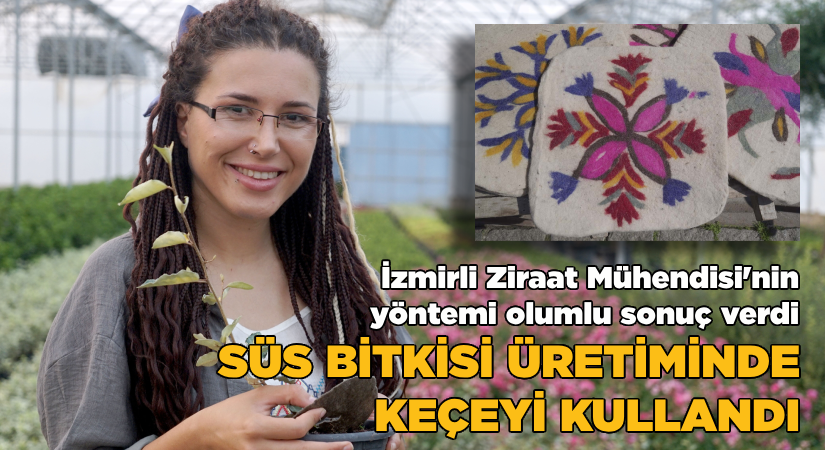 Süs bitkileri yetiştiriciliğinde keçeyi kullandı