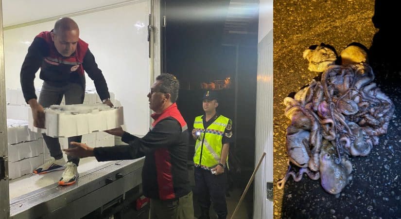 Bin 430 kilogram hamsiye el konuldu;Yasadışı avlanmaya sıkı takip