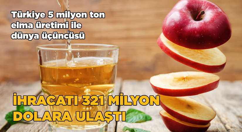 Elma ve elma suyu ihracatı 321 milyon dolara ulaştı