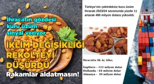 Çekirdeksiz kuru üzümde 490 milyon dolar ihracat