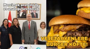 Vejetaryenlere burger köfte!