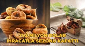 Kuru incir ihracatı 292 milyon dolarla sezonu kapattı