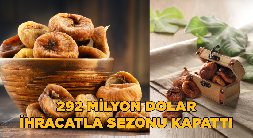 Kuru incir ihracatı 292 milyon dolarla sezonu kapattı