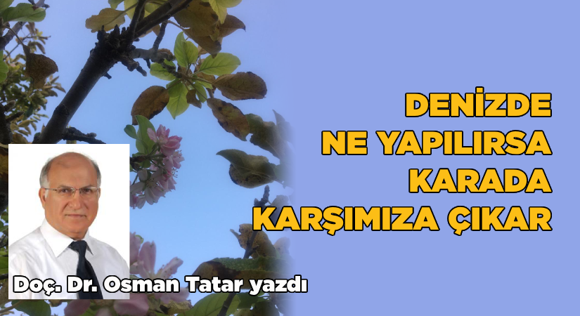 Denizde ne yapılırsa, karada karşımıza çıkar