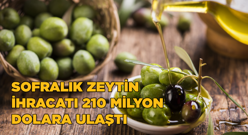 Sofralık zeytin ihracatı 210 milyon dolara ulaştı