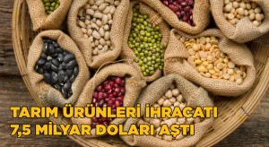 EİB’den tarım ürünleri ihracatı 7,5 milyar doları aştı
