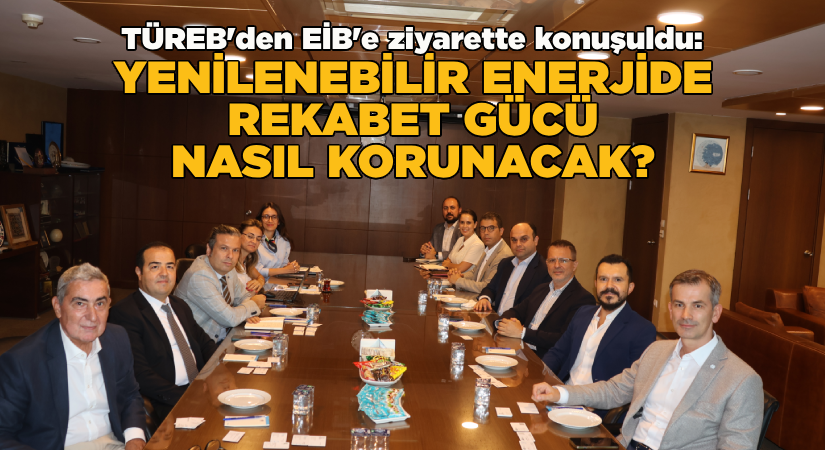 Yenilenebilir enerjide rekabet gücü nasıl korunacak?