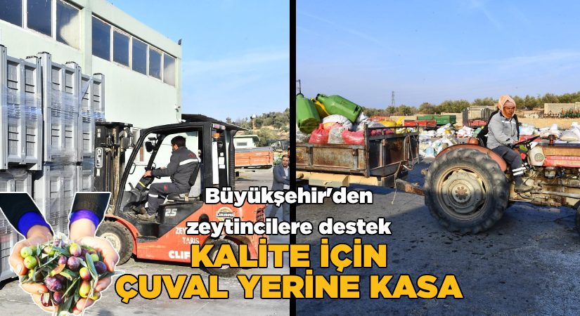Büyükşehir’den zeytincilere destek;Kalite için çuval yerine kasa