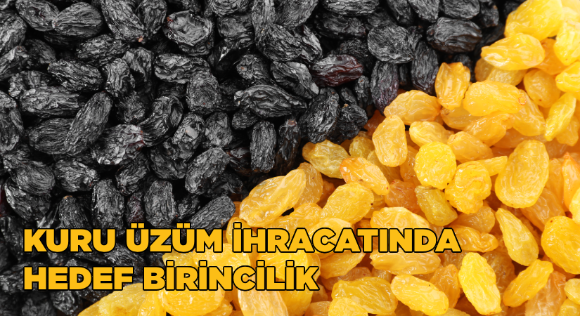 Türkiye, Dünya Kuru Üzüm İhracatının Yüzde 30’unu Tek Başına Yapmayı Hedefliyor