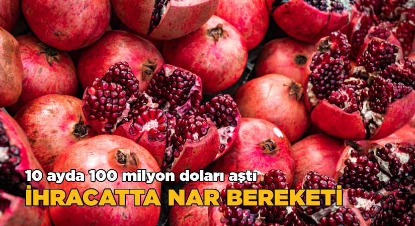 İhracatta nar bereketi