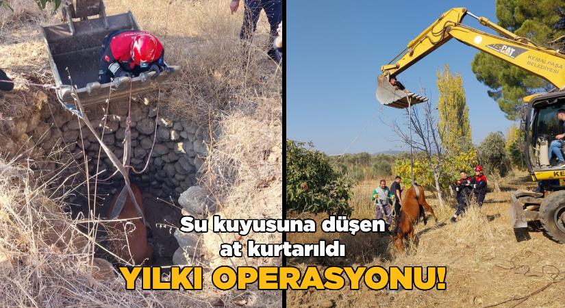 Su kuyusuna düşen at kurtarıldı-Yılkı operasyonu