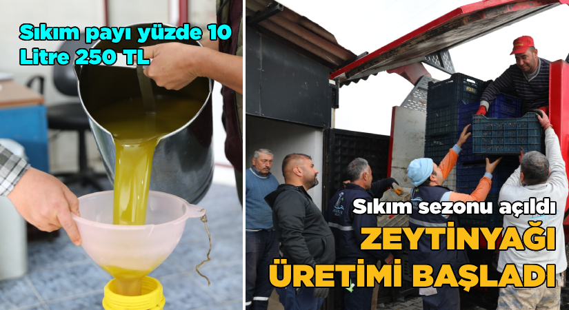 Sıkım sezonu açıldı-Zeytinyağı üretimi başladı