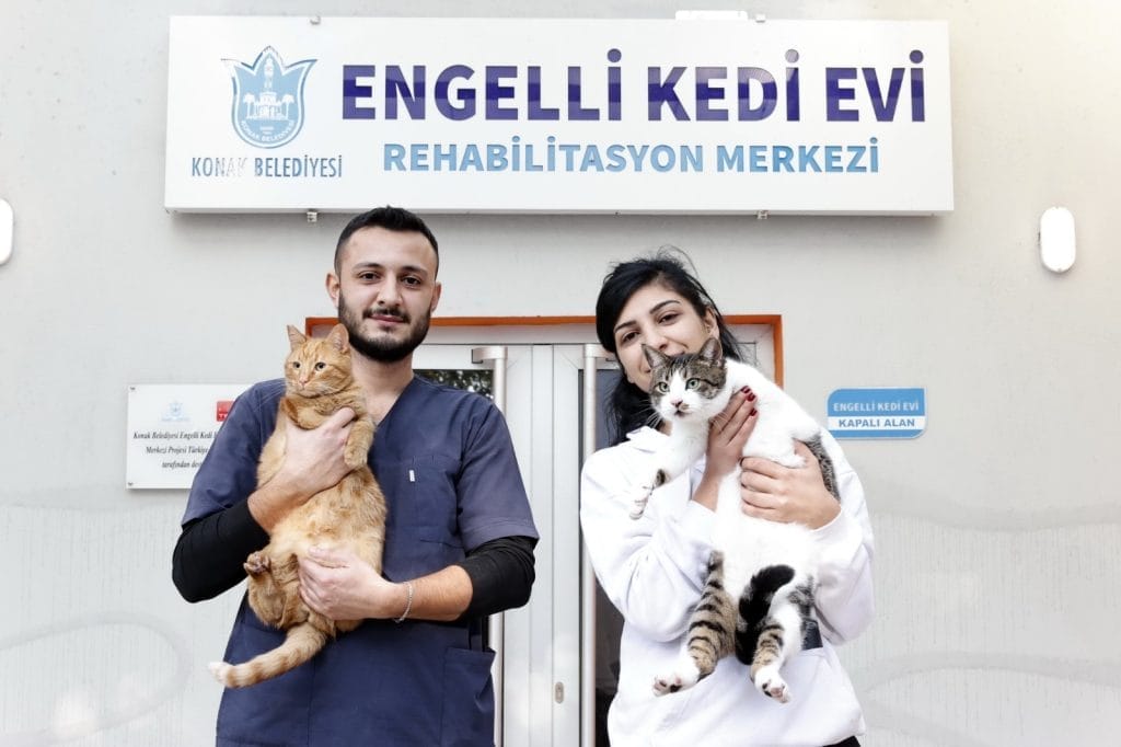 Engelli Kedi Evi’nden sahiplenme çağrısı