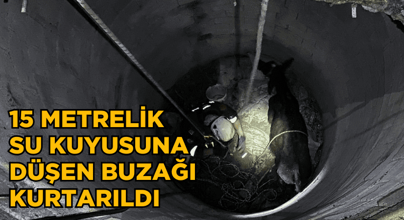 Bayındır’da kuyuya düşen buzağı kurtarıldı