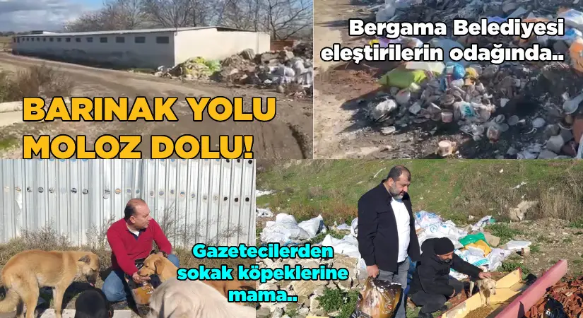 Bergama Belediyesi eleştirilerin odağında.. Barınak yolu moloz dolu