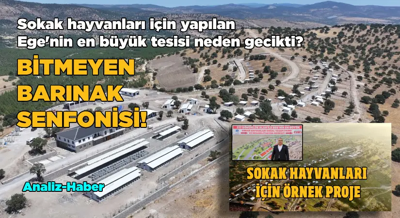 Sokak Hayvanları için yapılan Ege’nin en büyük tesisi neden gecikti?