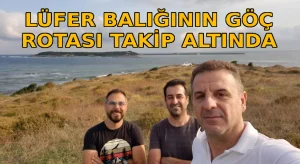 Lüfer balığının göç rotası takip altında