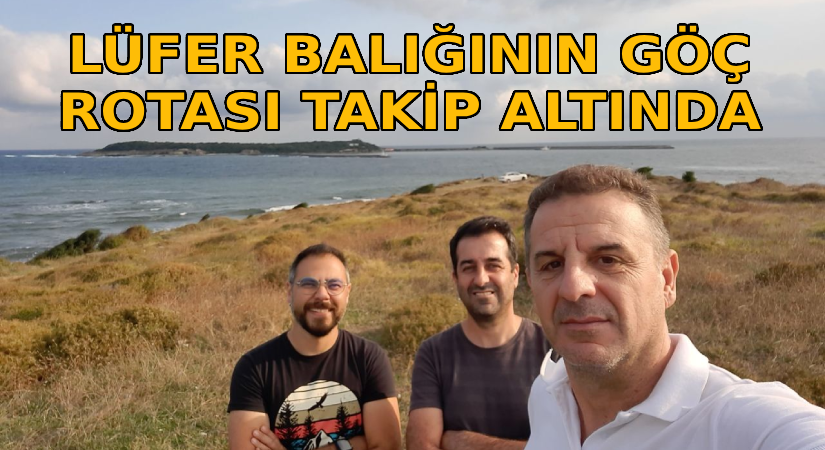 Lüfer balığının göç rotası takip altında