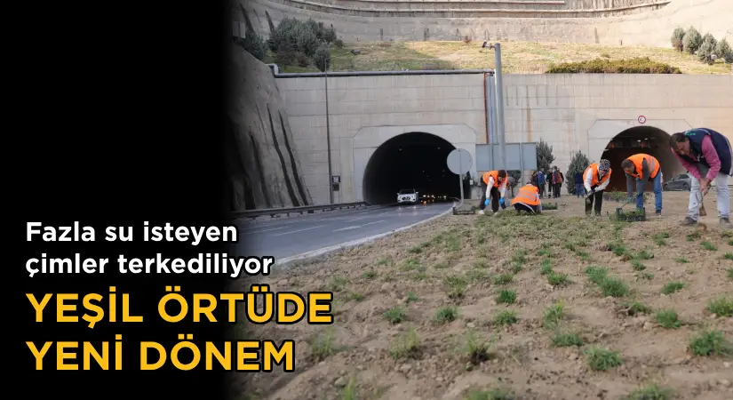 Fazla su isteyen çimler terkediliyor; Yeşil örtüde yeni dönem