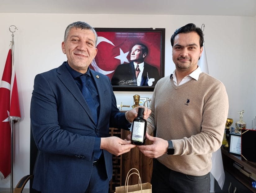 Babadan kalma zeytinliği ödül getirdi