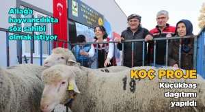Aliağa hayvancılıkta da söz sahibi olmak istiyor